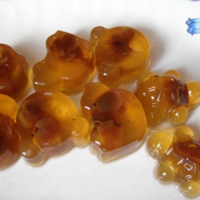 Rau câu nhãn nhục